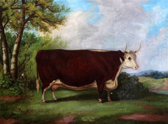 Richard Whitford (c.1821-1890) Portrait of a prize cow standing in a landscape 18 x 24in.